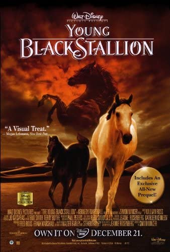 ดูหนังออนไลน์ฟรี The Young Black Stallion (2003) อาชาเพื่อนยาก